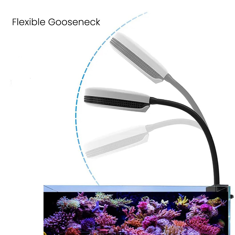 Spectra SP20 20W Aquarium LED  - огляд і ціна Marine Coral