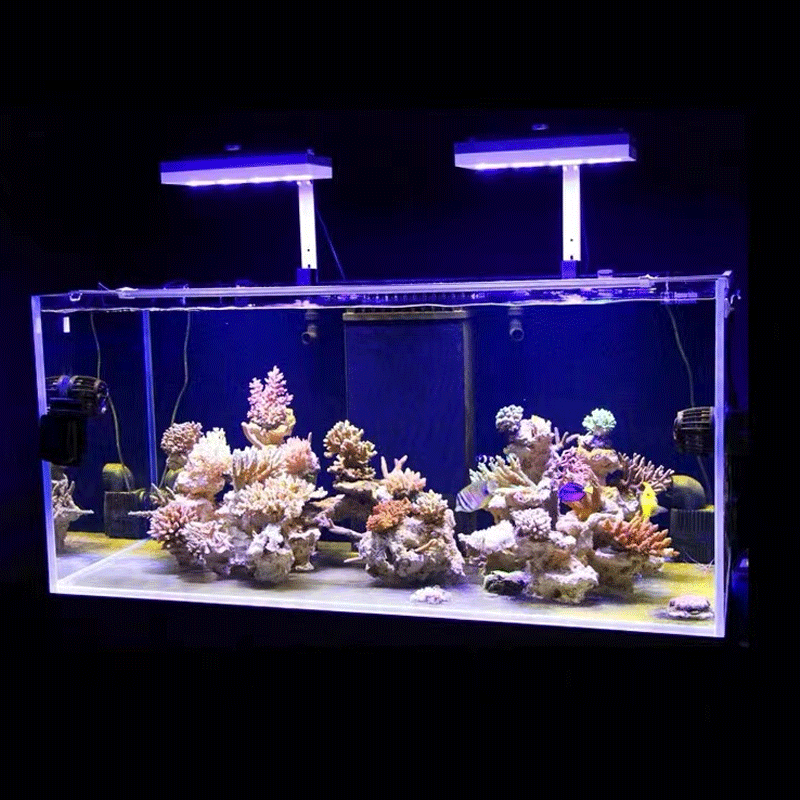 Aqua Illumination AI Hydra 32H - огляд і ціна Marine Coral