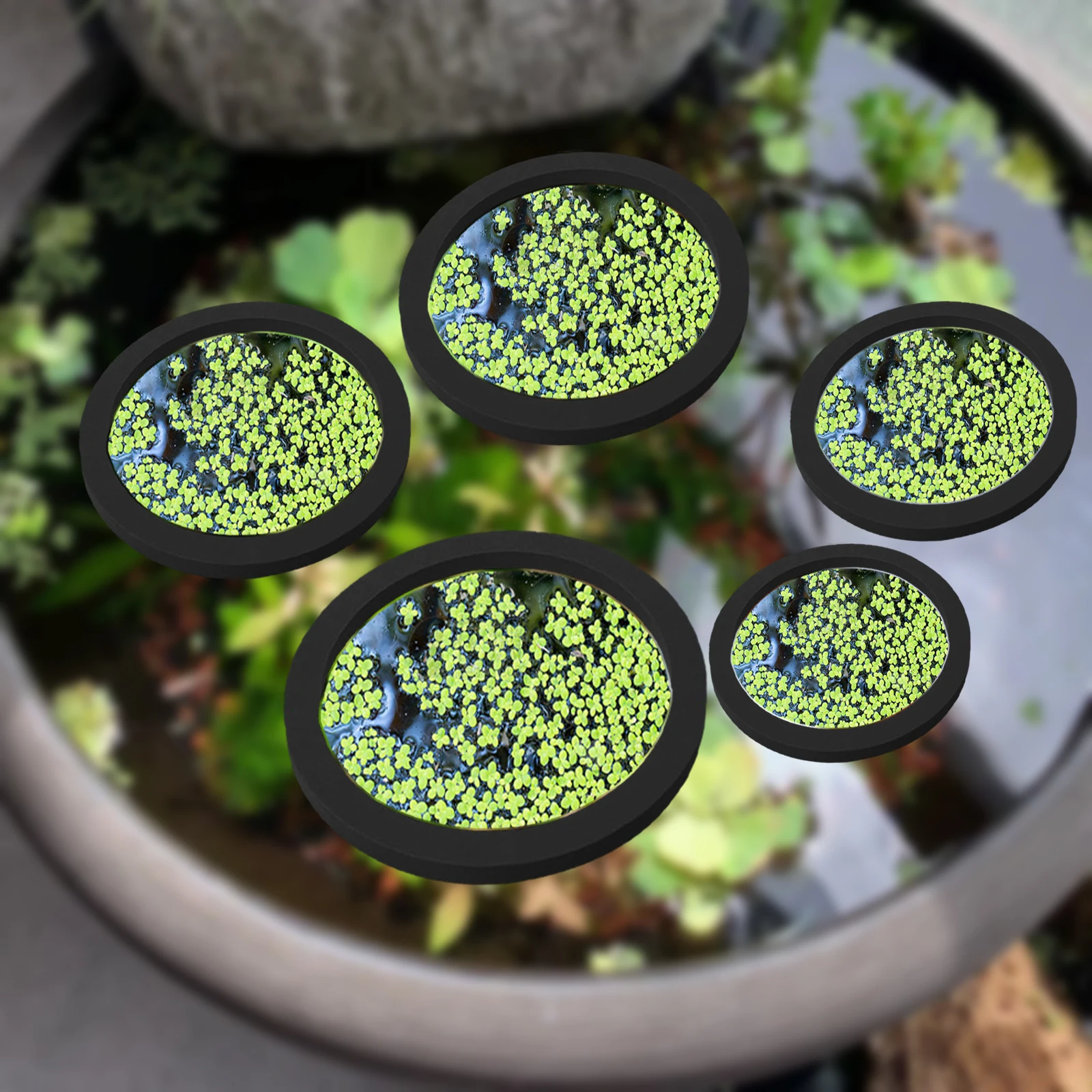 5Pcs EVA Fish Feeding Ring Aqu - огляд і ціна Ocean Aquarium