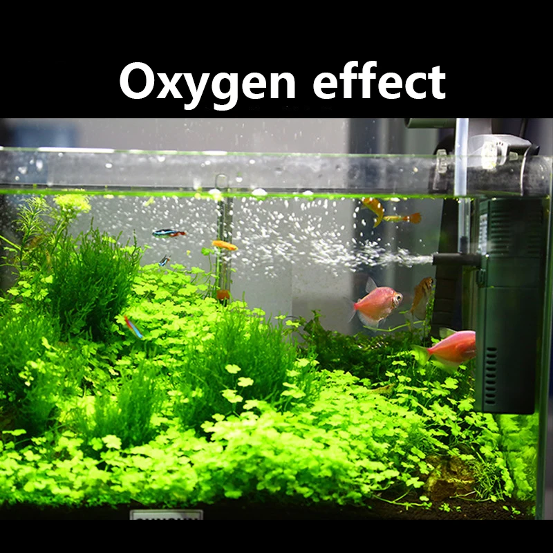 SUNSUN mini nano 111B 311B 611 - огляд і ціна Reef Tank Filter